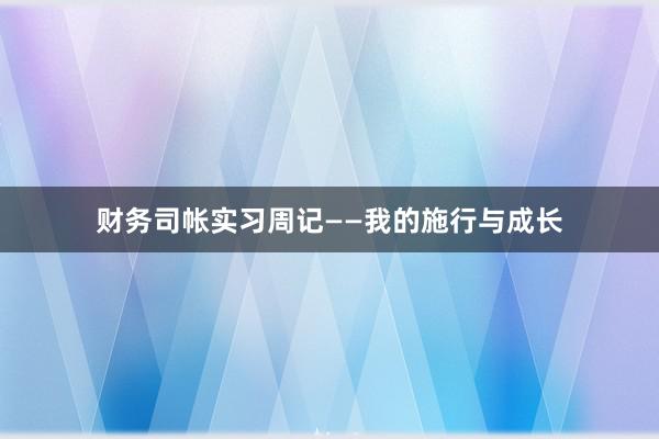 财务司帐实习周记——我的施行与成长